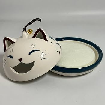 51A+s912rvL._AC_UF350,